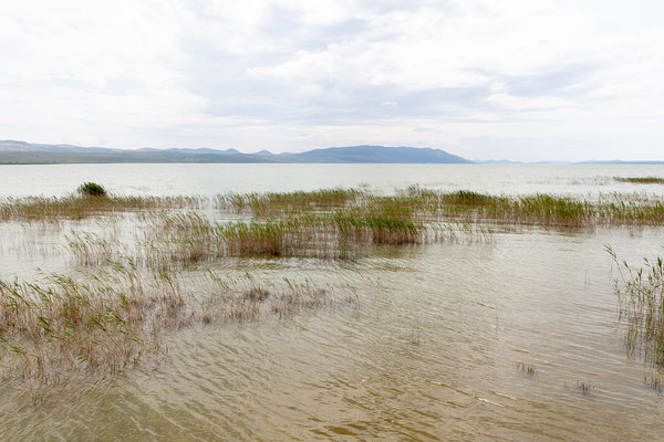 07.06. Naturpark Vransko Jezero - Crkvine