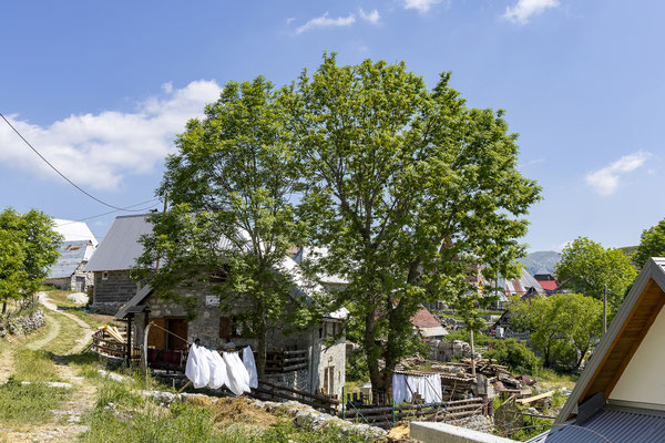 Lukomir
