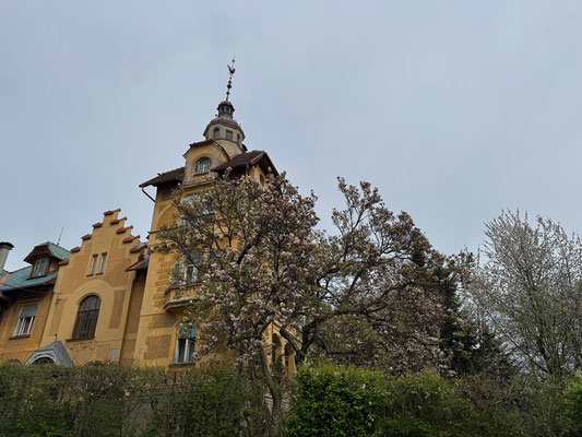 13.04. Rosenhain