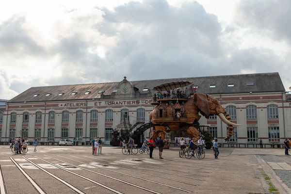 27.08. Machines de l'île: unterwegs treffen wir ihn bereits