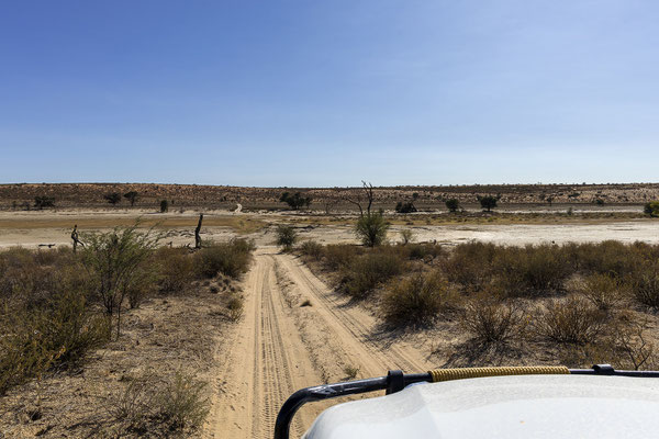 09.03. Nach dem Morning Drive frühstücken wir im Nossob Camp und fahren gegen 9:00 Richtung Mabuasehube. Diesen Teil des Parks kennen wir noch nicht und freuen uns darauf. Viel haben wir schon darüber gehört.
