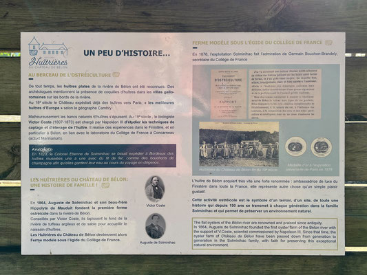 Geschichte der Austernzucht Château de Bélon