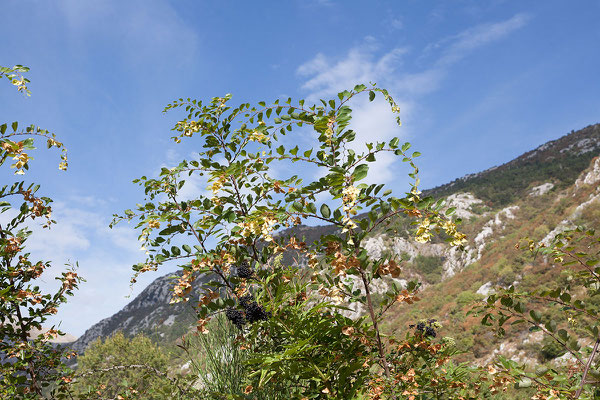 8.9. Unterwegs in den Lovćen Nationalpark.