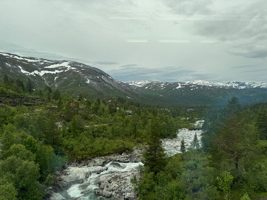Bergen Railway von Bergen nach Myrdal 