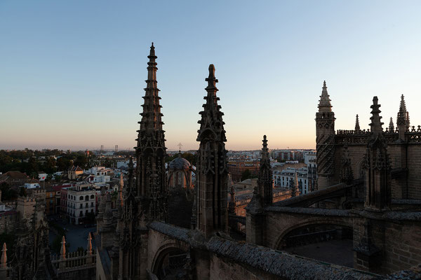 Kathedrale: Führung über die Dächer
