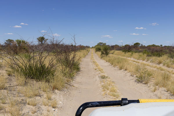 12.03. Die letzten 70 km zum Xade Gate führen durch mehr odeer weniger Tiefsand. 
