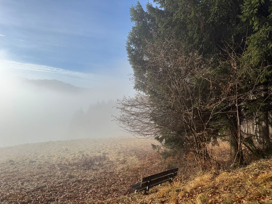 ... umso dichter wird der Nebel.