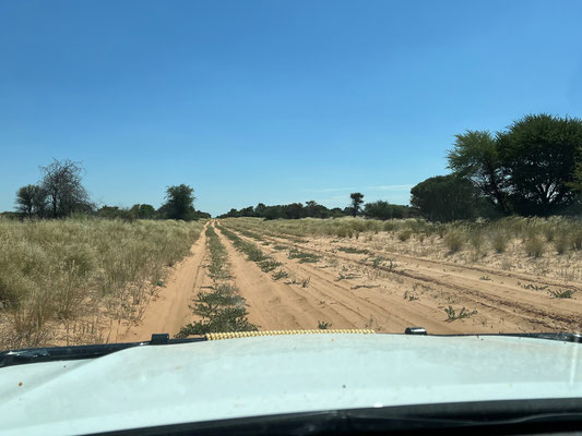 11.03. Mabua Gate - Kang