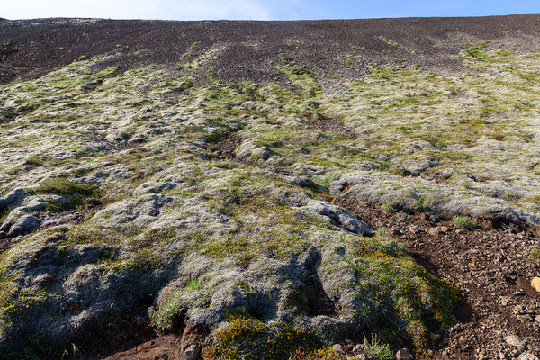 28.07. Zuerst wandern wir den selben Weg wie gestern zum Lavafeld. 