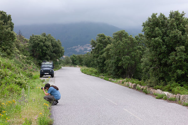 31.05. Fotostopp in der Balagne nahe Belgodère