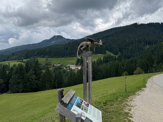 Nach der Parcoursrunde fahren wir über die hübsche Solčava Panoramastrasse retour.