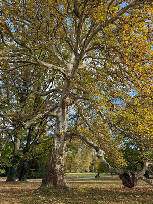 25.10. Schloß Eggenberg
