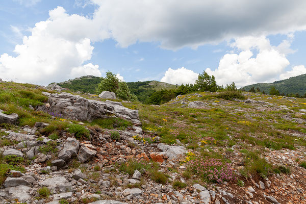 08.06. Oštarijska vrata