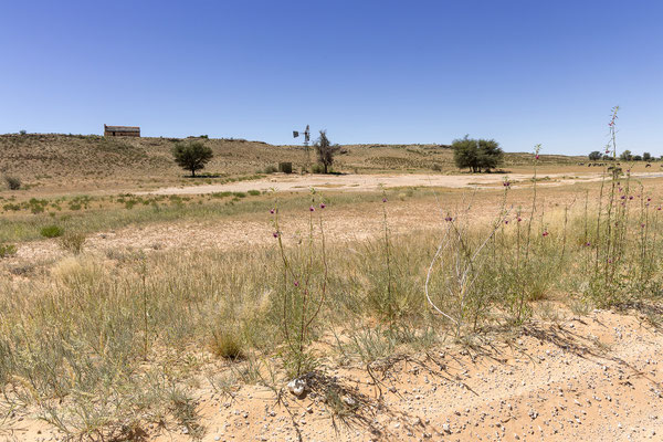 05.03. Wir machen uns auf den Weg nach Twee Rivieren und blicken zurück zur Auchterlonie Picnic Site.