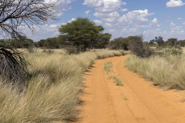 09.03. Die Strecke in die Mabua war wirklich großartig. Die Landschaft, die Vegetation und auch das Fahren an sich haben uns super gut gefallen. Das machen wir gerne wieder! 