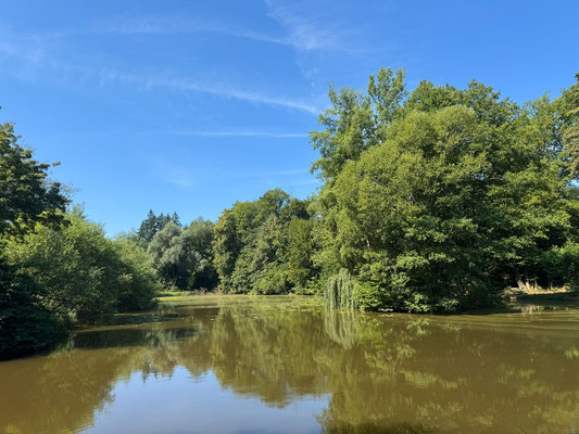 06.07. Thalersee