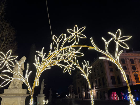 Imperial Lights, Schönbrunn