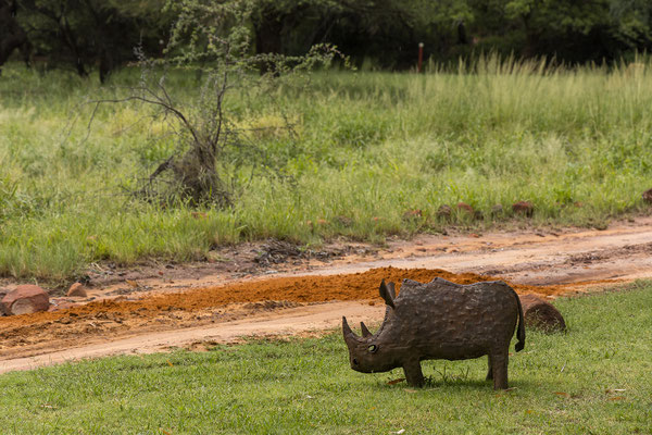 26.03. Wir starten an der Wilderness Lodge.