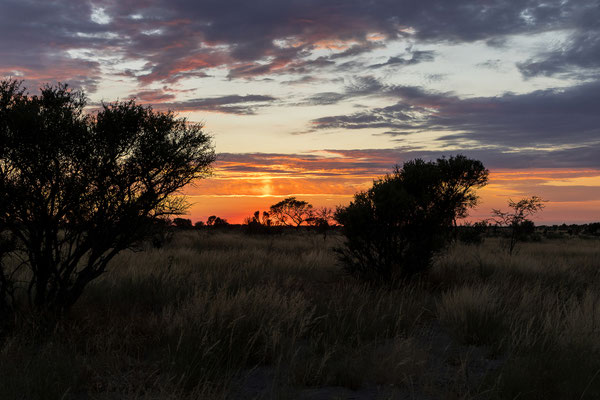 12.03. Xade Campsite