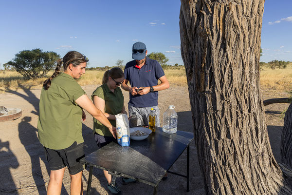 12.03. Wir beziehen eine hübsch gelegene Campsite in Gatenähe. Ob es sich um unsere gebuchte CKXAD 01 handelt, können wir nicht mit Bestimmtheit sagen. 