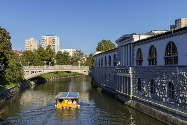 Zmajski most / Drachenbrücke & Markthalle