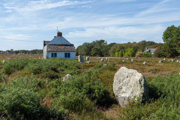 Lange bleiben wir aber nicht in Carnac, hier ist uns eindeutig zu viel los. 