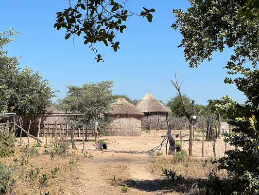 19.03. Gegen 10:00 verlassen wir den Swamp Stop ...