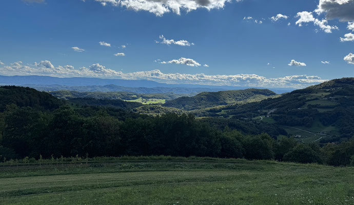 Weiter geht es durch den Kozjanski Naturpark.
