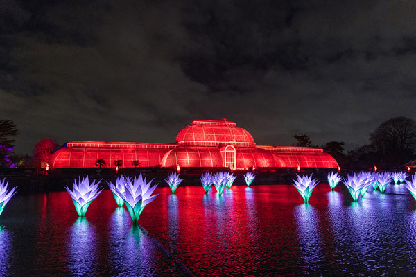 Christmas at Kew