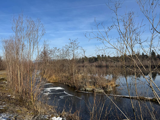 01.01. Murauen Gössendorf