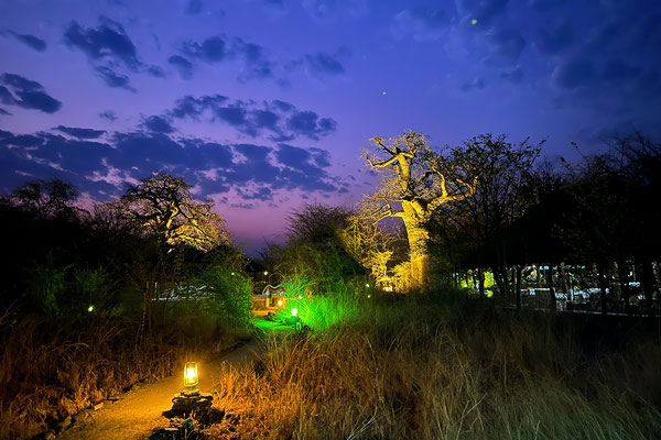28.09. Planet Baobab, Gweta