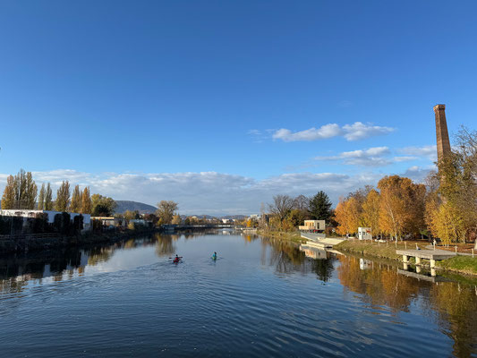 09.11. Puchsteg entlang der Mur