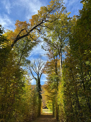 25.10. Schloß Eggenberg
