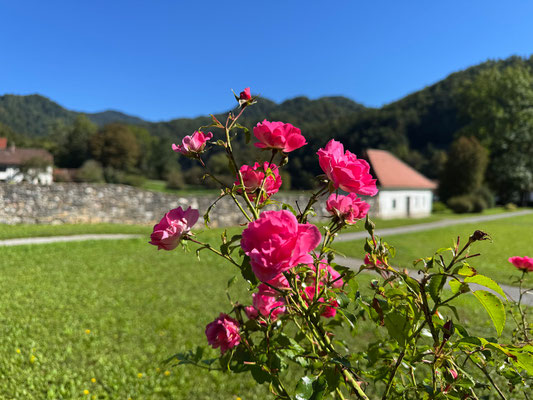 Polhograjska graščina