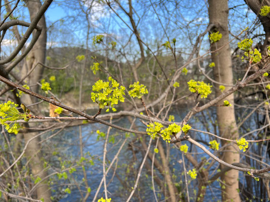 06.04. Entlang der Mur - Kalvarienberg