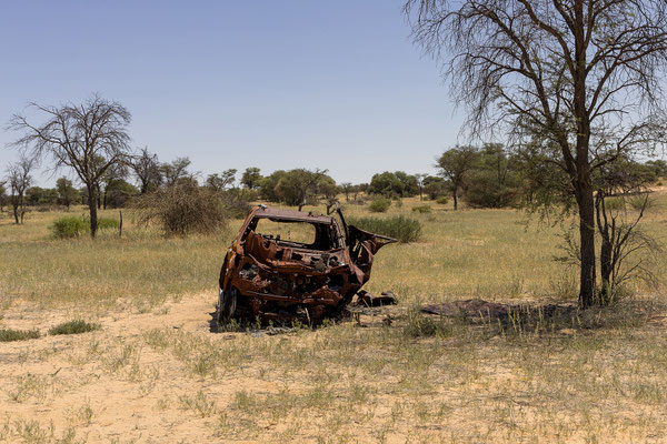 09.03. Nossob - Mabua