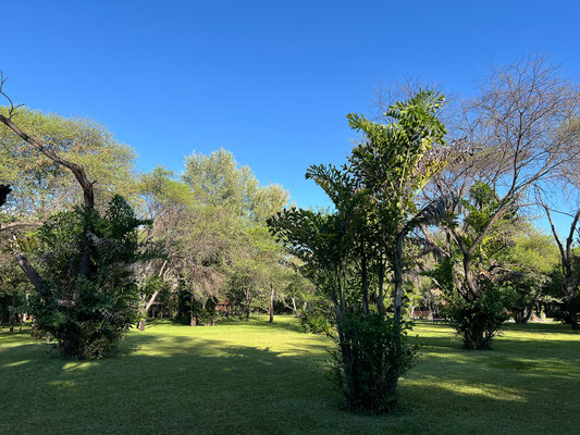 21.03. Drotsky's Cabins