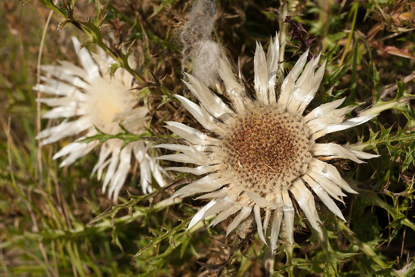 11.9. Durmitor Nationalpark