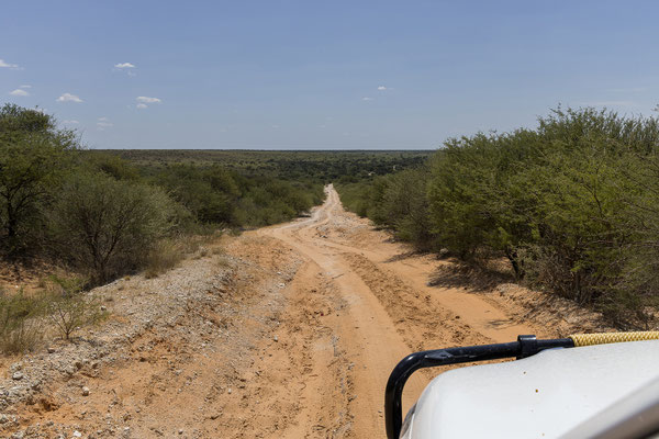 12.03. Die Strecke ist zwar recht lang, aber unerwartet grün und ansprechend. Es gefällt uns gut.