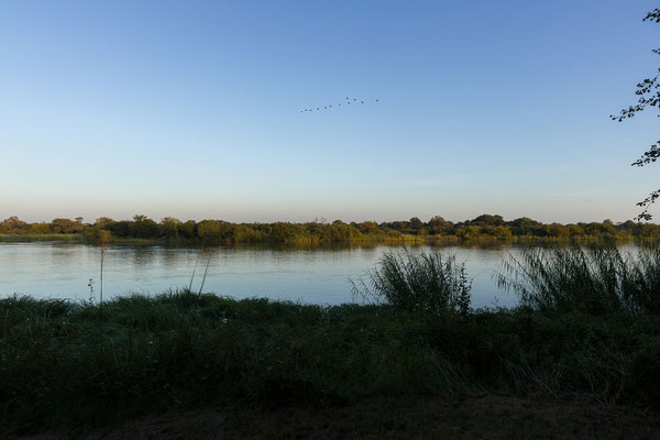 23.03. Guten Morgen!