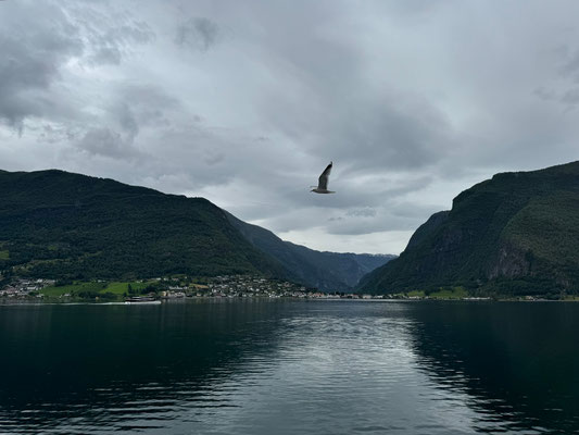 Fjordkreuzfahrt durch den Nærøyfjord von Flåm nach Gundvangen 