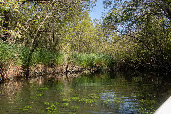 01.06. Kanutour im Fango-Delta