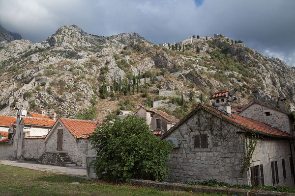 18.9. Kotor - Von der Stadtmauer haben wir einen tollen Blick auf die Altstadt.