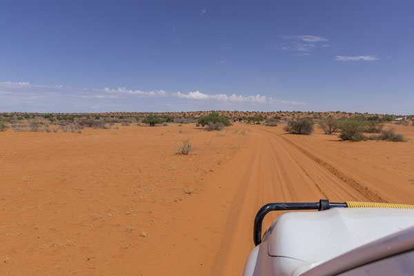 02.03. Gegen 10:45 verlassen wir die Bagatelle Kalahari Game Ranch wieder.