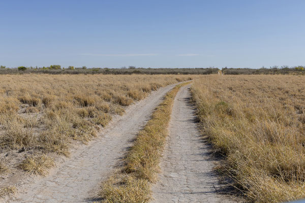 13.03. Das CKGR ist eines der entlegensten Naturschutzgebiete Afrikas; ohne Shops, Tankstellen oder Frischwasserversorgung. Durch die wenigen Unterkünfte im Park trifft man nur selten auf andere Touristen.