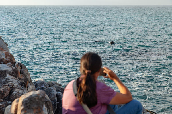 17.10. De Kelders: von der Küste vor unserem Guesthouse beobachten wir die Wale bei Sonnenuntergang. 