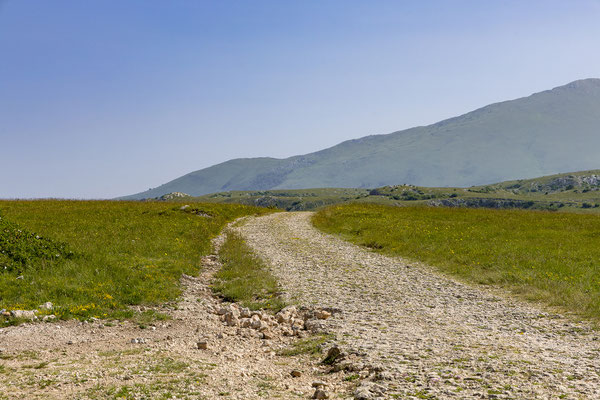 Dann packen wir zusammen und fahren zurück in Tal nach Livno.
