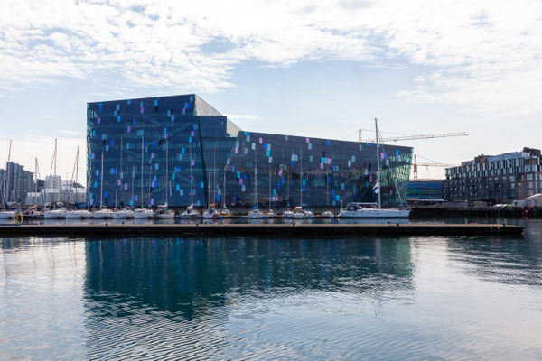 30.07.  Special Tours Whalewatching: Harpa