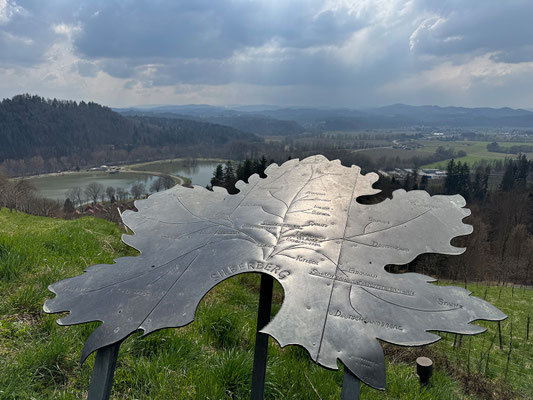 Weinlehrpfad Silberberg