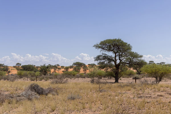 01.03. Unterwegs nach Bagatelle